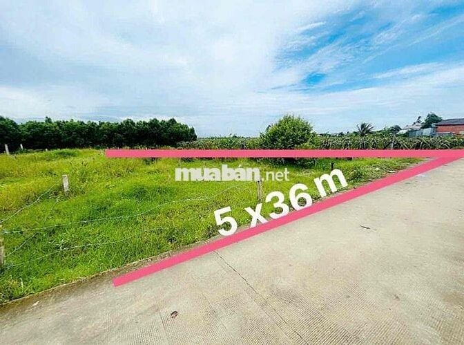 Bán  5 x 36 thổ cư đường Đan 3.5 m nền sáng,sạch đẹp  nhà đông đ