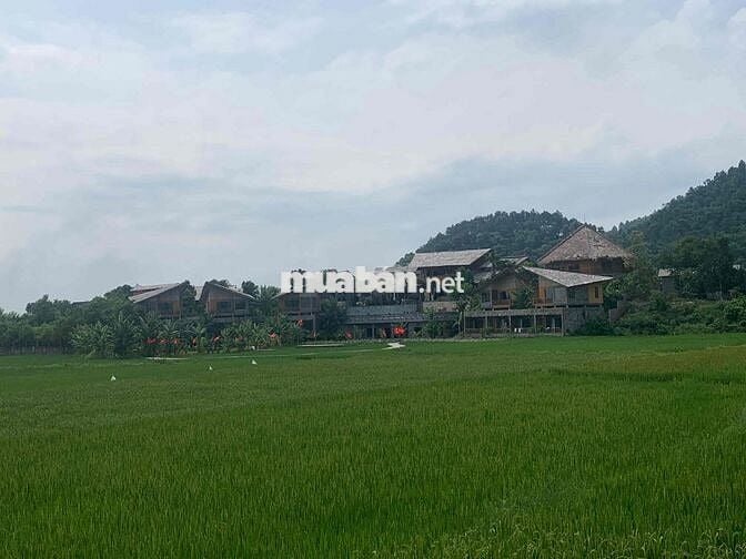 Bán Đất – Phúc Xuân (Bắc Sơn – SS) – 200m² – 2,05 Tỷ – Lô Góc 2 Mặt Đư