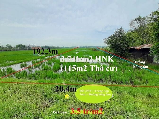 THANH LÝ LÔ ĐẤT 3741 TIỆN KHO XƯỞNG, NHÀ Ở MT TRUNG LẬP, CỦ CHI, HCM