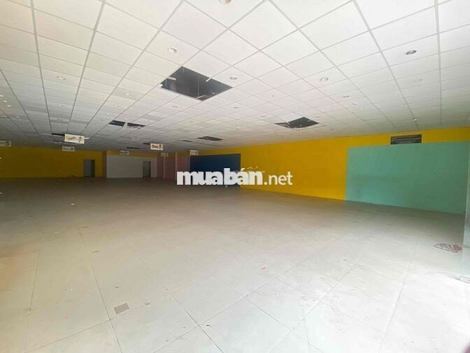 chính chủ cho thuê MBKD mt Trường Chinh - Tân Bình 600m2