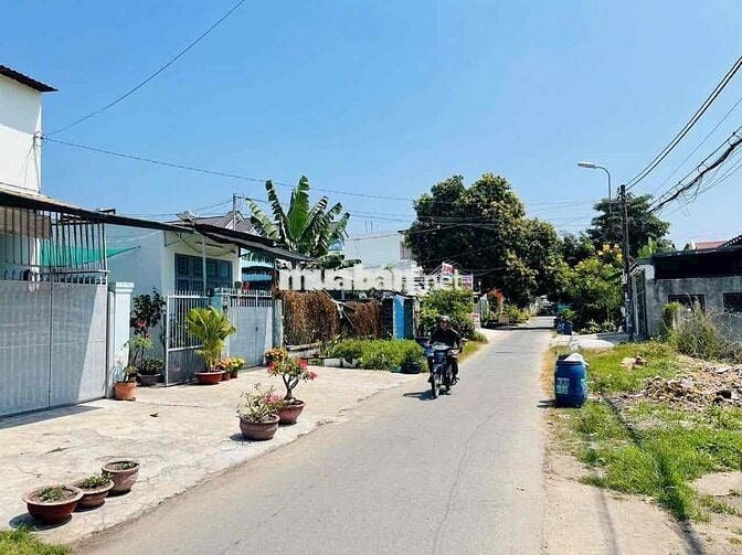 TÂN THÔNG HỘI 305m2 8x35 FULL THỔ BÁN GẤP CHO CON DU HỌC 850TRiệu