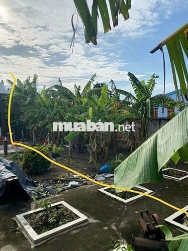 🏡 BÁN ĐẤT CHÍNH CHỦ – GIÁ TỐT HOÀ PHÚ CHÂU THÀNH💥