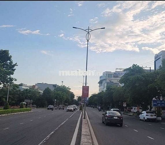Đất 250m Đường Cách Mạng Tháng 8 sát Xuân Thủy, Hội Chợ Triễn Lãm