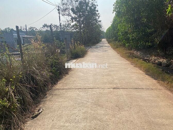 CHỈ 560 TRIỆU SỞ HỮU NGAY LÔ ĐẤT CÓ 15M MẶT TIỀN BÊ TONG VỚI 1016M2