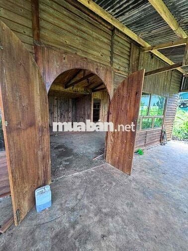 BÁN ĐẤT ĐẸP ĐÈO PHEN – VIEW TRIỆU ĐÔ