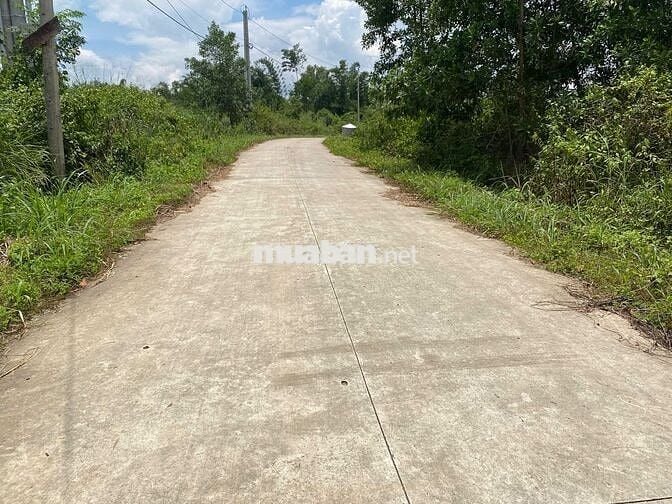 CHỈ 550T SỞ HỮU NGAY LÔ ĐẤT 1265M2 ĐẤT CÓ 10M MẶT TIỀN BÊ TONG RÔNG 6M