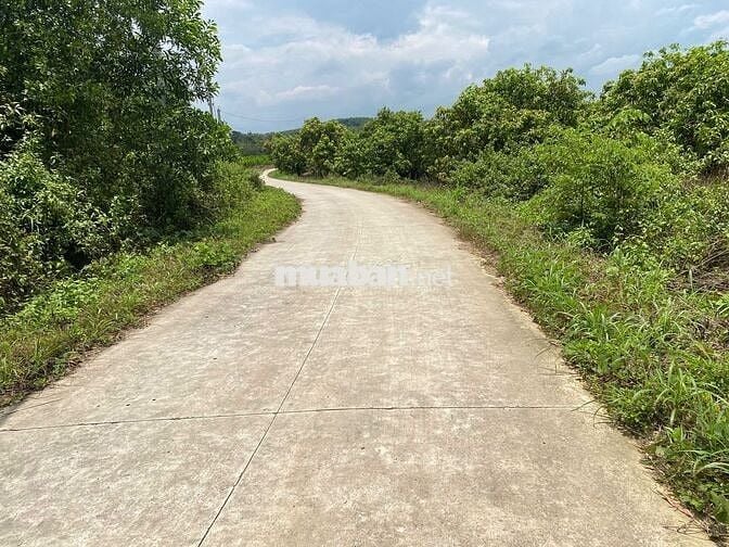 CHỈ 550T SỞ HỮU NGAY LÔ ĐẤT 1265M2 ĐẤT CÓ 10M MẶT TIỀN BÊ TONG RÔNG 6M