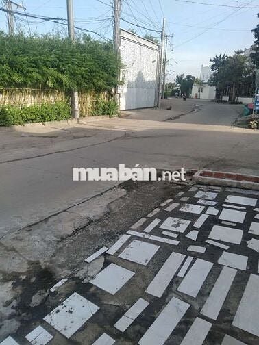 Cho thuê nhà mặt tiền gần Công ty TĐF và các Công ty khác