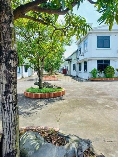 BÁN NHÀ MÁY + ĐẤT 9.907m² NGAY TRUNG TÂM TP. NAM ĐỊNH