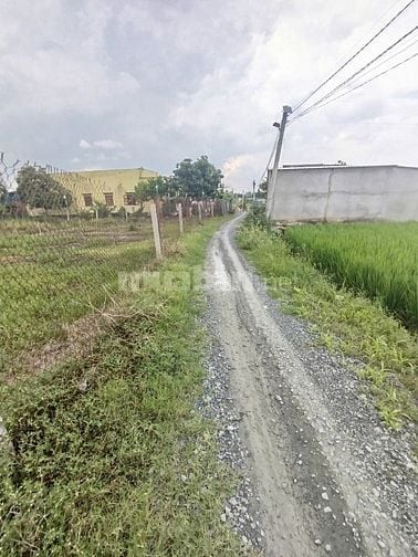 🔥 Bán đất thổ cư 1.660m² tại Phước Hậu – Cần Giuộc, Long An, giá 8 tỷ