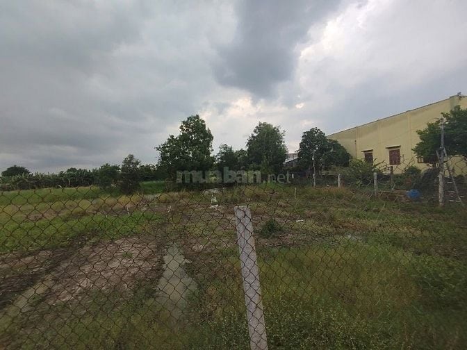 🔥 Bán đất thổ cư 1.660m² tại Phước Hậu – Cần Giuộc, Long An, giá 8 tỷ