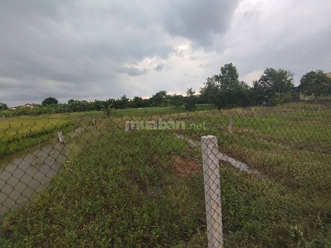 🔥 Bán đất thổ cư 1.660m² tại Phước Hậu – Cần Giuộc, Long An, giá 8 tỷ