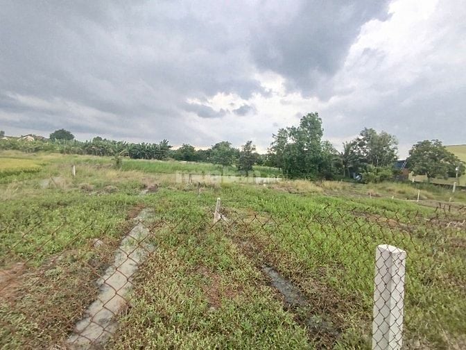 🔥 Bán đất thổ cư 1.660m² tại Phước Hậu – Cần Giuộc, Long An, giá 8 tỷ