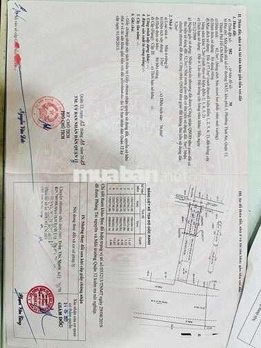 9 chủ bán nền đất rộng 5mx13 full thổ xây đủ tự do Q12