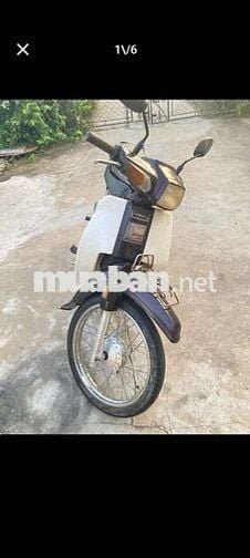Honda dream