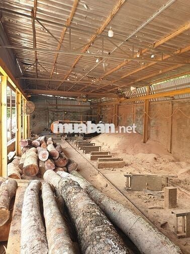 Bán xưởng 3000m2 tháo nợ xấu thổ cư 400m2 Địa Đạo Củ Chi MT Tỉnh Lộ 6