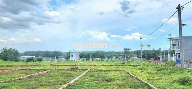 chủ cần bán gấp đi mỹ 2 lô đất thổ cư TP Biên Hoà
