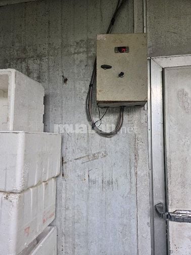 Cho thuê kho lạnh nhỏ tại Thủ Đức