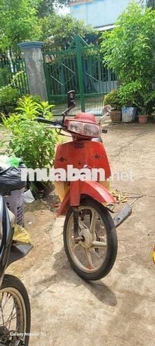 Xe như hình, zin , 100cc