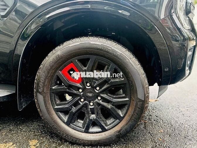 Ford Ranger Stormtrak 2024 - Xe Cá Nhân Ít Đi