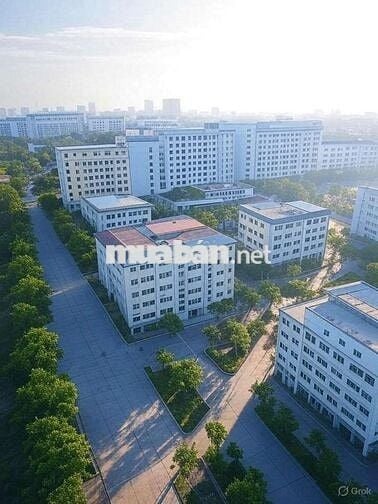 Đất sát KTX B ĐHQG HCM, 10x38/371m2 SHR thổ cư chỉ 20tr/m2, HXH.