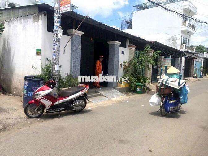 Đất thổ cư DT239m2, gần chợ đầu mối, tiện xây phòng cho thuê, nhà vườn