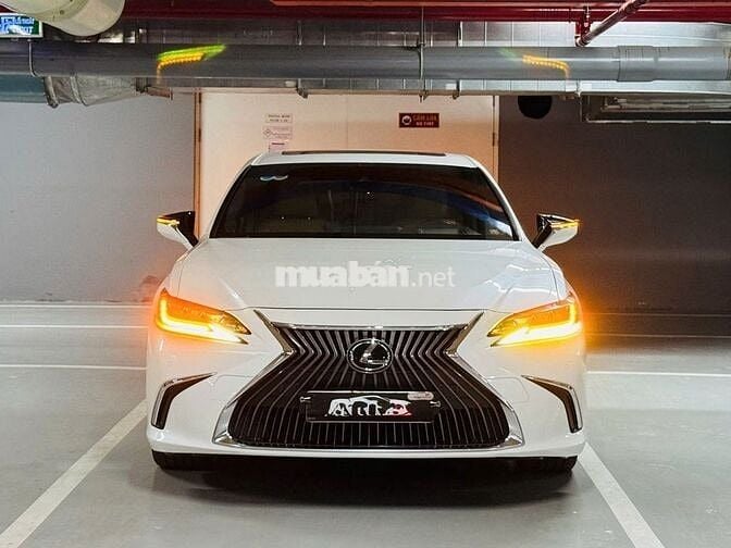 Siêu lướt-LEXUS ES 250-2020 - odo 6000 km