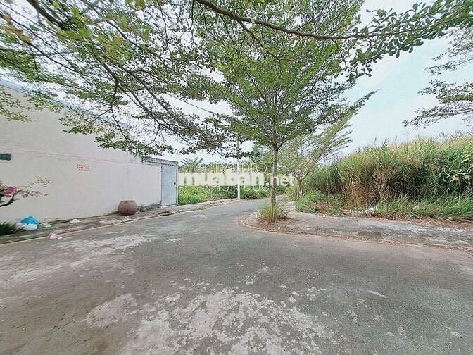 Lô Góc Hẻm 512 Nguyễn Văn Tạo- Hiệp Phước - Nhà Bè.