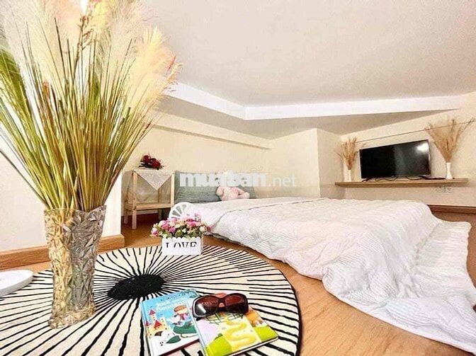 Cho Thuê Duplex Siêu Xinh Xắn Ở Trung Tâm Quận 10