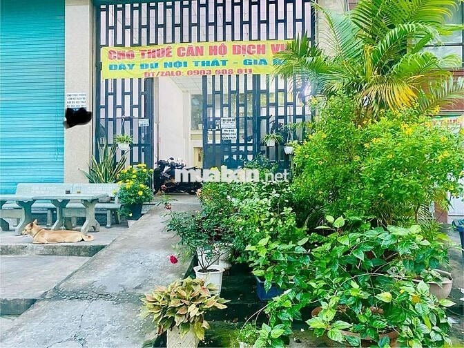 ✅ CHO THUÊ PHÒNG CHDV MINI ĐẦY ĐỦ NỘI THẤT GIẢM GIÁ RẺ 🌿