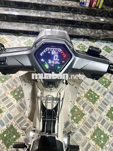 GPX Nhập Thái