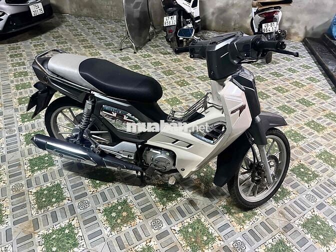 GPX Nhập Thái
