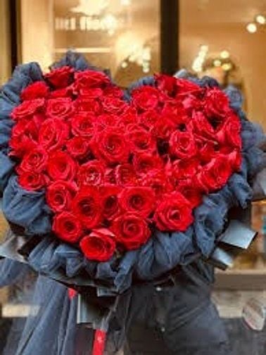 Kết bạn giao lưu học hỏi và trò truyện tâm sự
