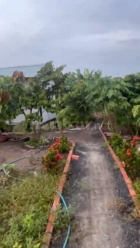 Bán Đất MẶT TIỀN Đường Đoàn Bá Sở,Xã Tân Quý Tây 562m2, H.Bình Chánh(2