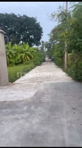 Bán Đất MẶT TIỀN Đường Đoàn Bá Sở,Xã Tân Quý Tây 562m2, H.Bình Chánh(2