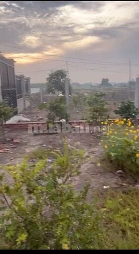Bán Đất MẶT TIỀN Đường Đoàn Bá Sở,Xã Tân Quý Tây 562m2, H.Bình Chánh(2