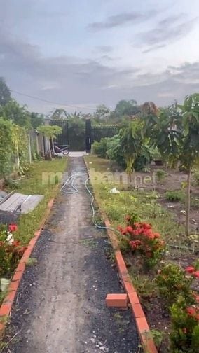 Bán Đất MẶT TIỀN Đường Đoàn Bá Sở,Xã Tân Quý Tây 562m2, H.Bình Chánh(2