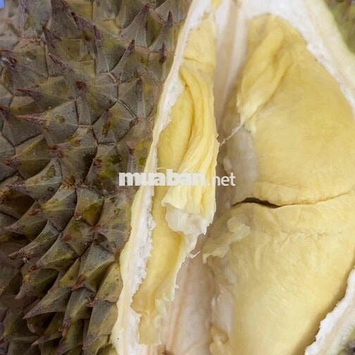 phòng trọ q3 ở từ 3-5 người đg ng đình chiểu