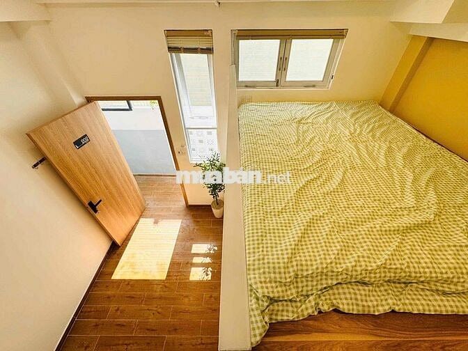Khai Trương Duplex Ngay Đại Học Gia Định,IUH