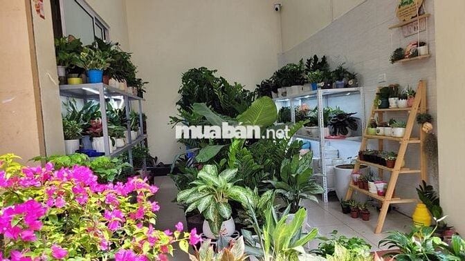 cho thuê   mặt bằng 3,5 tr Ngõ 196 Hồ tùng mậu