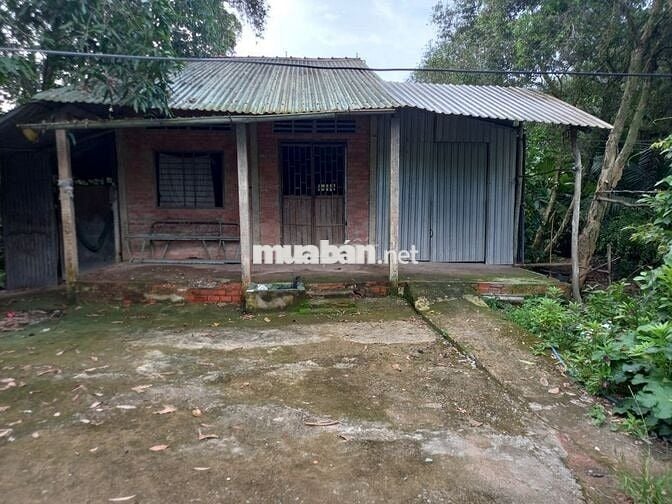 Bán gấp 1 mẫu đất thổ + vườn mặt tiền kênh Tràm Mù DH41 Tiền Giang