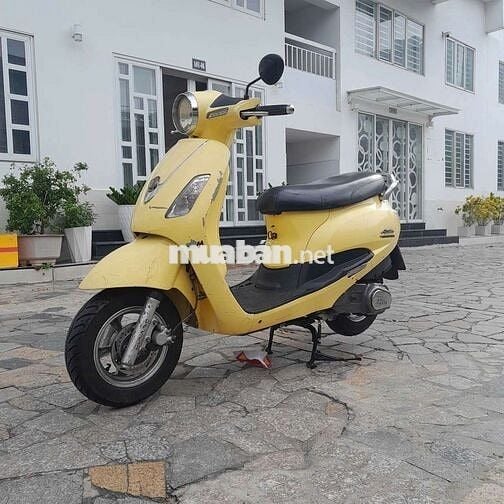 Xe alizabet giấy tờ đầy đủ