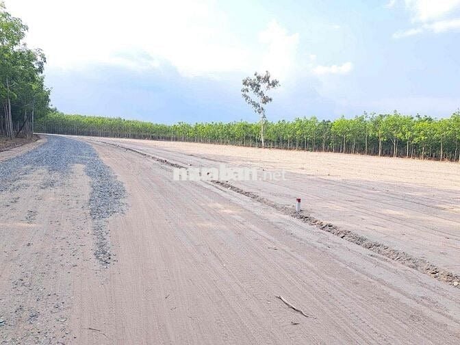 Bán gấp đất thổ cư phường Chơn Thành giá chỉ 300triệu