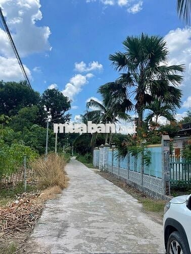 BÁN ĐẤT TẶNG NHÀ CẤP 4 CÁCH TTTM CHƠN THÀNH CHỈ 5 PHÚT ĐI XE GIÁ 890TR
