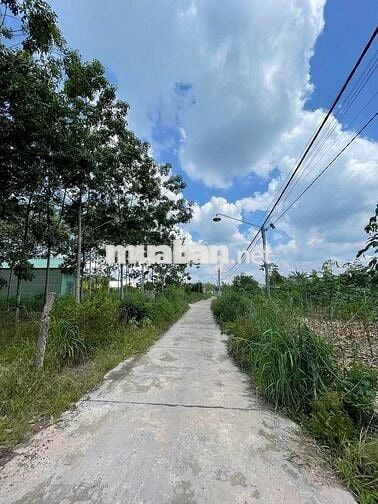 BÁN ĐẤT TẶNG NHÀ CẤP 4 CÁCH TTTM CHƠN THÀNH CHỈ 5 PHÚT ĐI XE GIÁ 890TR