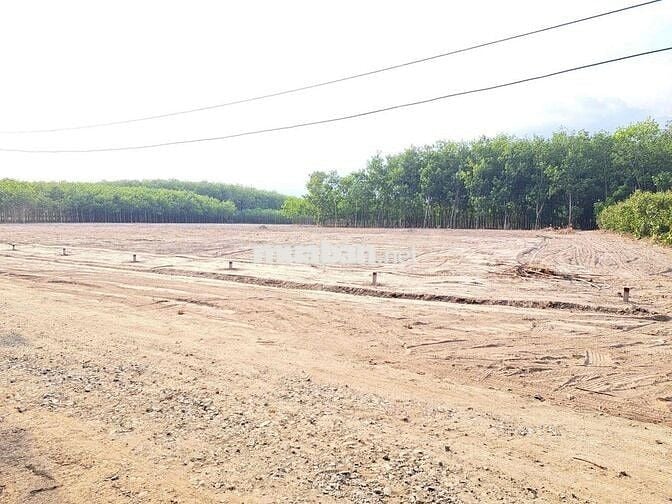 Bán gấp đất thổ cư phường Chơn Thành giá chỉ 300triệu