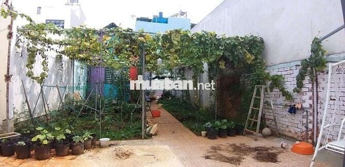 BÁN LÔ ĐẤT 199m2 ĐƯỜNG 22, NGAY VÀNH ĐAI 2, LINH ĐÔNG THỦ ĐỨC, 9,4 TỶ