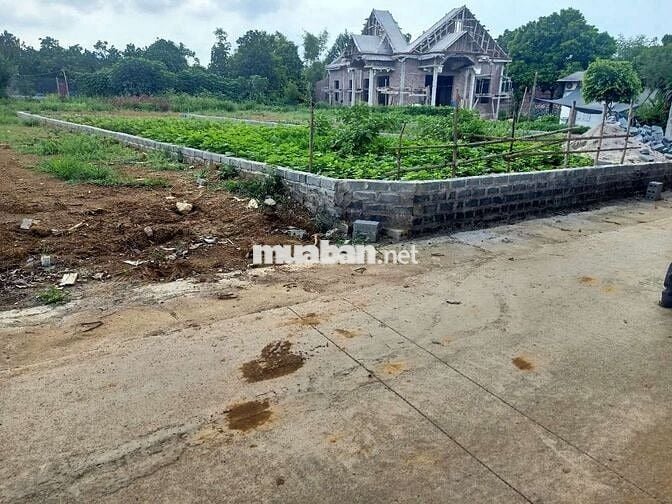 LÔ GÓC HƯỚNG ĐÔNG ĐƯỜNG THÔNG Ô TÔ TRÁNH FULL THỔ CƯ  ĐẦU TƯ CỰC TỐT!