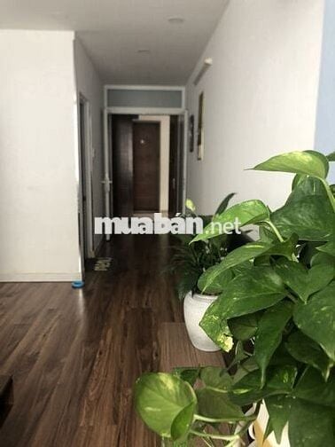 ✨ Chỉ với 3 tỷ, sở hữu ngay căn hộ trung tâm Quận 8 ✨