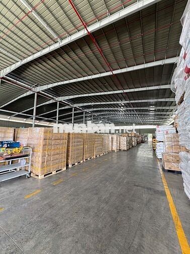CHO THUÊ NHÀ XƯỞNG 7.000M² – CỤM CÔNG NGHIỆP TÂN AN, LONG AN